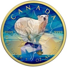 POLAR BEAR COLOURED CANADIAN
