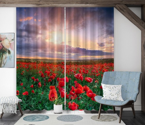 Red poppy zhub074 photo - zhub074,