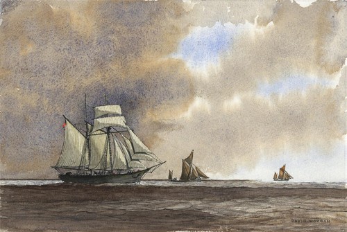 David morgan watercolour - morgan,