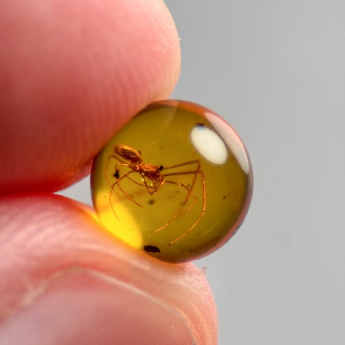 Spider sphere 7mm bead - spider,