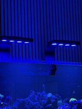 AI Hydra 64HD LED Light Black for Marine Fish Tank with Brackets