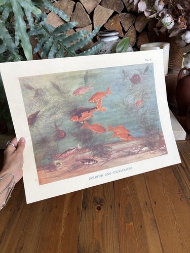 Vintage macmillan ernest aris - macmillan,
