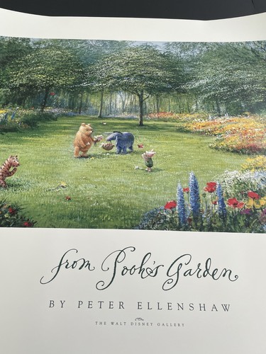 Disney winnie the pooh - disney,