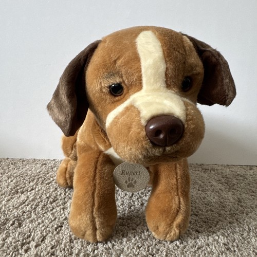 Keel rupert brown labrador - keel,