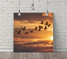 BIRDS FLYING SUNSET- SQUARE