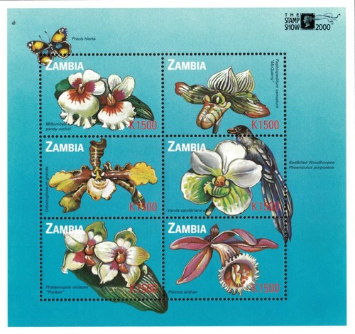 Zambia 2000 flowers orchids - -,