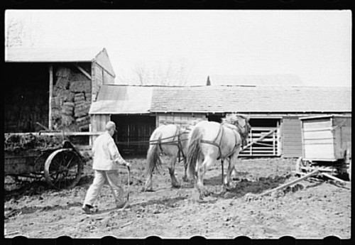 Photo grundy county - photo:grundy, 1940