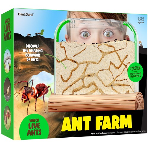 Dan darci ant farm kit - ant,