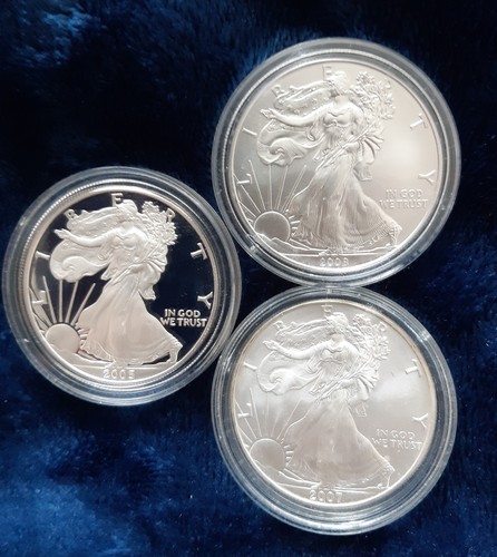 Walking liberty design - walking,