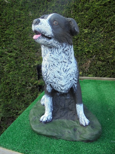 Collie dog concrete garden - collie,