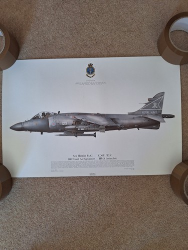 Bae sea harrier zd611 800 - harrier,