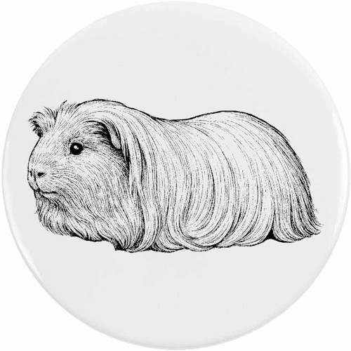 Long haired guinea pig - haired, pig'