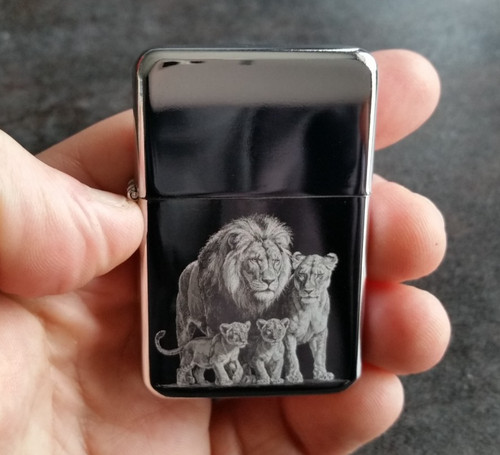 Lion pride family big cat - family,