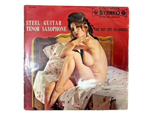 Hit kit islanders steel guitar - kit,