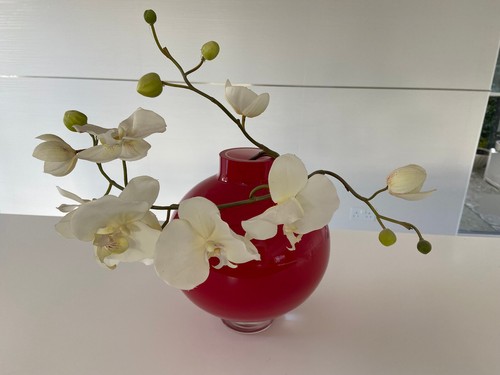 Ivv italian glassmakers - italian,