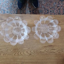Dartington Daisy Collection