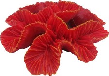 Bright Red Coral Burst 5 Inch
