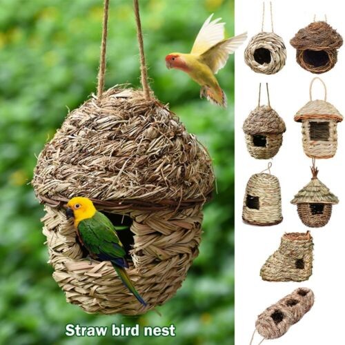 Birdhouse bird nest breeding - nest,