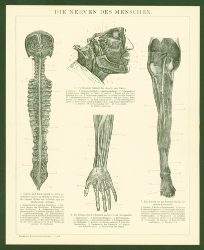 Pressure anno 1896 medicine - pressure,