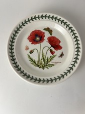 Portmeirion Botanic Garden