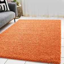 Fluffy Rugs Anti-Slip Large