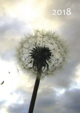 MY BIG FAT CALENDAR 2018