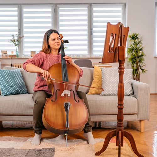 Glarry cello set matte - 4/4,