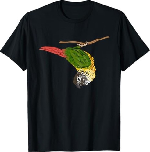 Green cheek conure parrot bird - green,