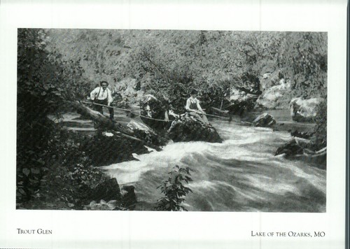 Missouri postcard trout - *missouri, postcard-"trout