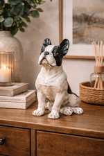 French Bulldog Sitting