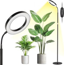 Grow Lights for Indoor Plants