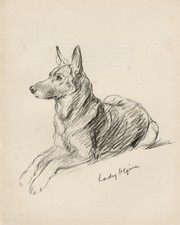 GERMAN SHEPHERD VINTAGE 1937