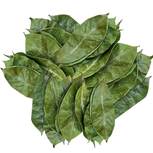Organic dried soursop - organic, leaves