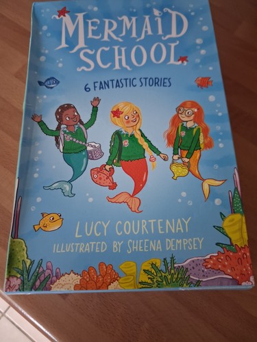 Mermaid school box set books - school,
