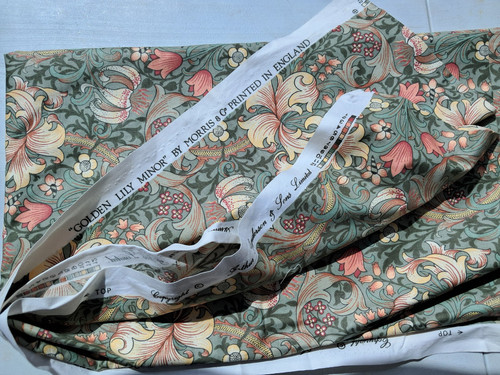 Sanderson golden lily - sanderson,