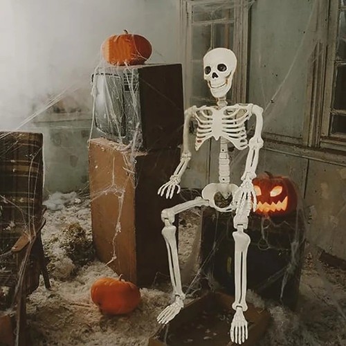Halloween skeleton decoration - halloween,