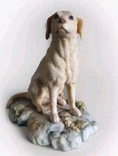 TEVIOTDALE GOLDEN RETRIEVER