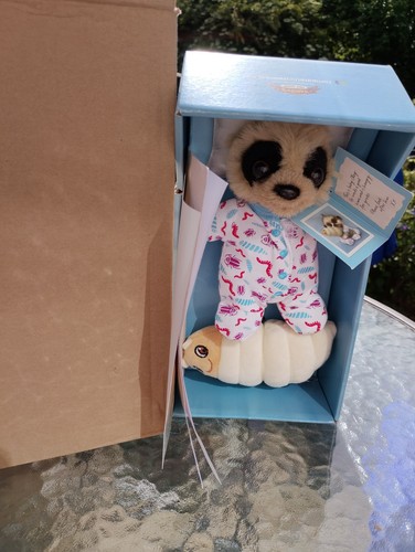Brand new baby - brand, meerkat