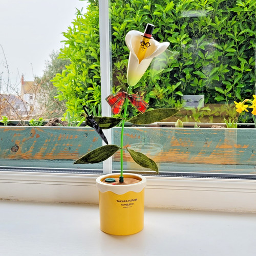 Ultra rare calla lily - ultra, takara