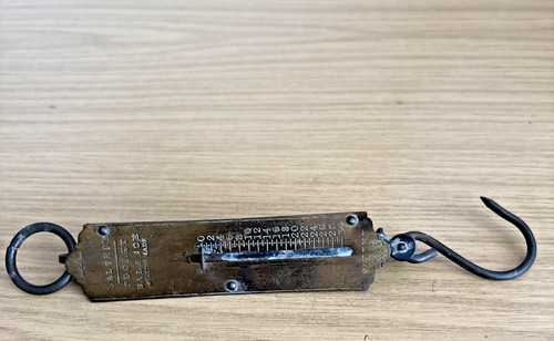 Ck240 salter pocket - pocket, spring
