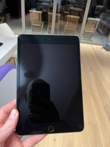 Apple ipad mini - apple, 5