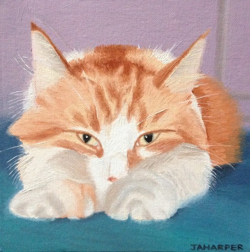 Ginger cat print limited - ginger,