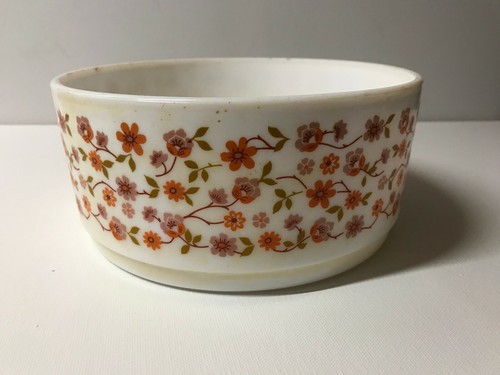 Vintage french arcopal - french,