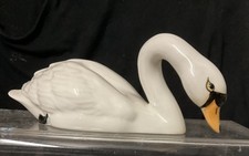 Beautiful beswick bird swan - bird,