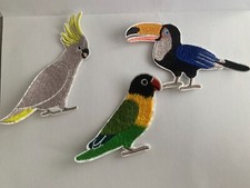 Cute Bird Toucan Cockatoo