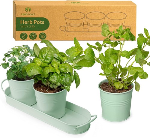 Herb planter pot for - for, indoor