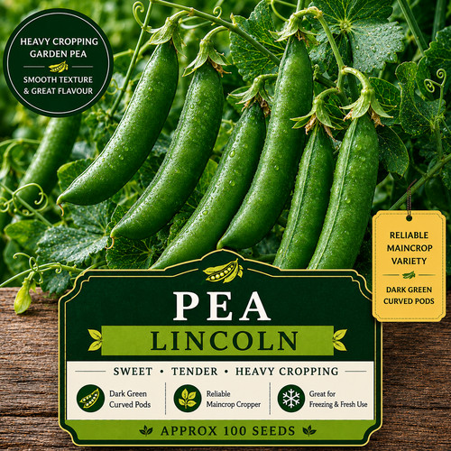 Pea seeds lincoln - seeds,