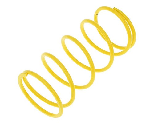 Torque spring malossi - spring, mhr