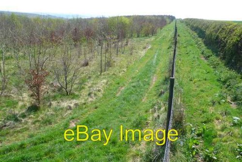 Photo 6x4 deer fence this - photo,