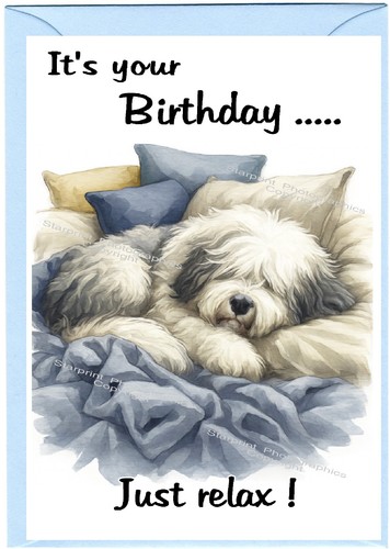 Old english sheepdog - sheepdog, birthday